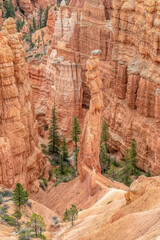 Bryce canyon park in the USA