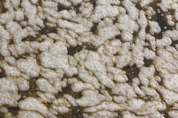 Industrial pollution. Foam bubbles from dirty water,background pattern.