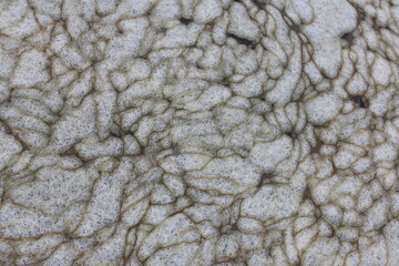 Industrial pollution. Foam bubbles from dirty water,background pattern.