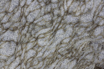 Industrial pollution. Foam bubbles from dirty water,background pattern.