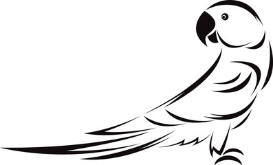 Parakeet / parrot design isolated on transparent background. Bird. Wildlife Animals. © yod67