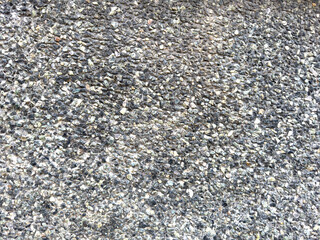 Close-up of a rough, gray, pebbled surface with small stones and gravel detail texture. Suitable for backgrounds or textures.