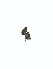 Waterfall flower notebook fly file name library documents rose natural illustration