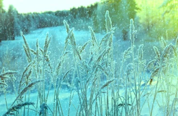 Photo sur Plexiglas Turquoise Winter scene