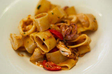fresh Italian pasta with shellfish sauce, octopus and calamari