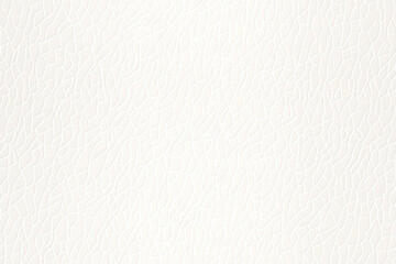 White Background White background Wallpaper White background Photo White Background Image White Background Illustration