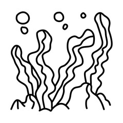 seaweed of beach doodle illustration