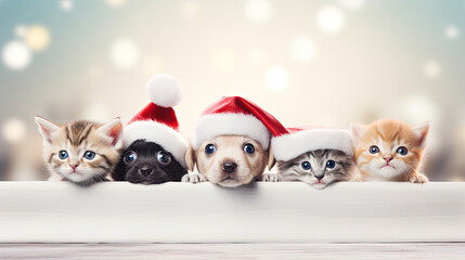 Christmas banner with cute puppy and kittens. Group of dogs and cats with red Santa hats above white banner looking at camera. Christmas signboard or gift card for pet shop or vet clinic.