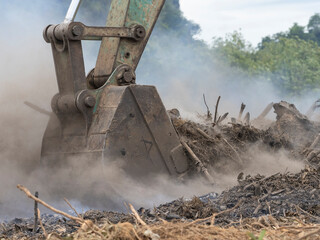 Burning trees and conditioning the ground for agriculture using a backhoe