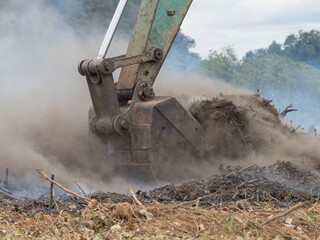 Burning trees and conditioning the ground for agriculture using a backhoe