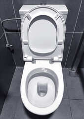 Toilet room interior with white toilet bowl and grey tiles. Hygiene concept
