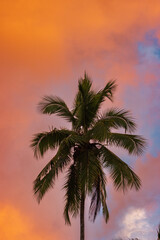 Fototapeta na wymiar Beautiful sunset in Drake bay (Costa Rica)