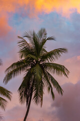 Fototapeta na wymiar Beautiful sunset in Drake bay (Costa Rica)