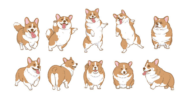 Cute Cartoon corgi dog set	 , Cartoon Dog Character Design with Flat Colors in Various Poses