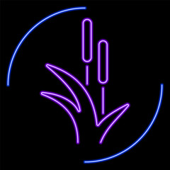 reed neon sign, modern glowing banner design, colorful modern design trends on black background. Vector illustration.