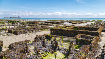 Oyster farms at Cancale coast, the oyster farming centre and seaside resort in Brittany, France.