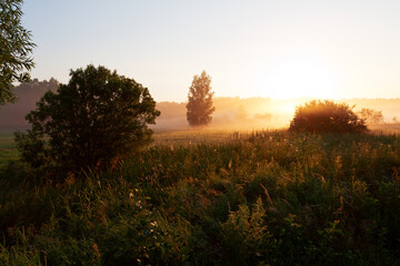 Landscape sunset in Narew river valley, Poland Europe, foggy misty meadows with road and trees,...