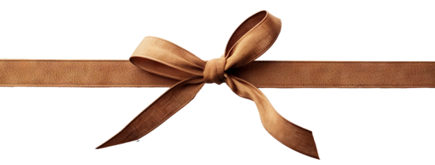Stylish brown fabric bow, cut out