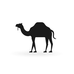 Camel illustration design