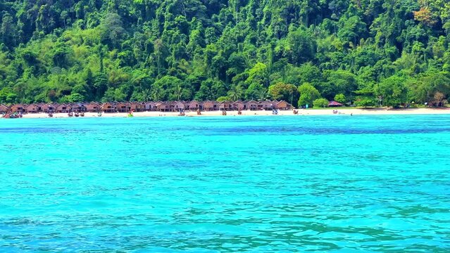 Similan Island Coral reef teaming with reef fish of various colours. the Andaman Sea in Thailand turquoise blue waters 