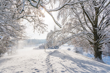 Snowy and beautiful winter landscape in Alttann in Upper Swabia