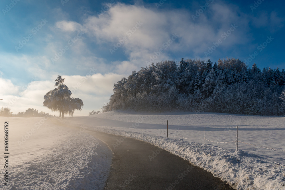 Poster Snowy and beautiful winter landscape in Waldburg in Upper Swabia