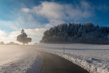 Snowy and beautiful winter landscape in Waldburg in Upper Swabia