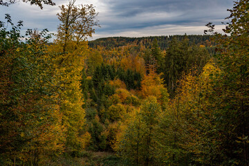 Colourful fall hike to the Kreuzleshöhe in Allgau near Leutkirch and Isny