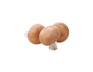 Brown champignon mushroom and rosemary leaves transparent png