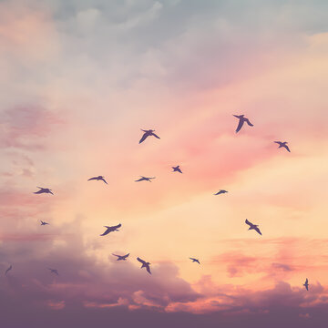 Silhouettes of birds flying against a pastel sky