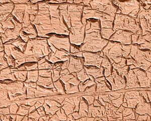 Decorative plaster. Peach Fuzz color.