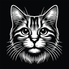 black and white cat with eyes illustration vector