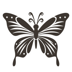 butterfly illustration