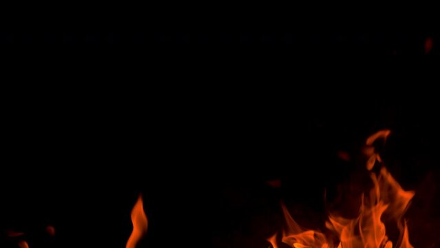 Orange flames rise and curl against a deep black background, creating a dramatic abstract fire scene with glowing heat, motion, and contrast.