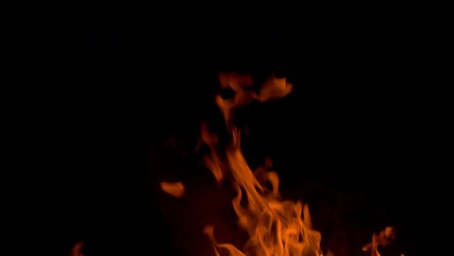 Orange flames rise and curl against a deep black background, creating a dramatic abstract fire scene with glowing heat, motion, and contrast.