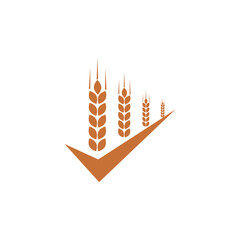 Simple wheat ears icons and wheat logo design icon isolated on transparent background