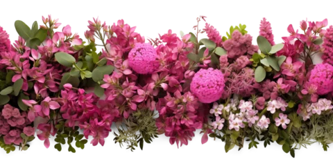 Foto op Aluminium Pink flowers bush shrub green tree isolated tropical plant border with clipping path isolated on transparent background. Generative AI © SRITE KHATUN