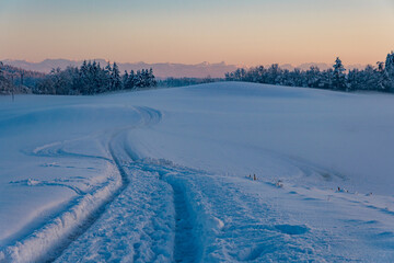 Fototapeta na wymiar Snowy and beautiful winter landscape in Wolfegg in Upper Swabia