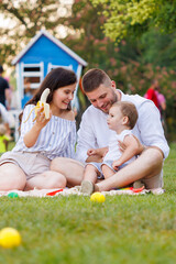 Parents having picnic in the park with their toddler son