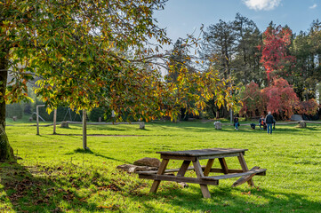 Picnic table and nature colored by autumn hues in the Santallago area, Lucca, Italy - obrazy, fototapety, plakaty