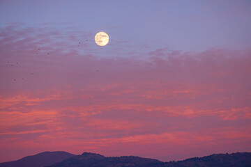 orange moon in the evening sky. full moon during sunset in evening sky. evening dusk orange red and yellow moon. Real photo.