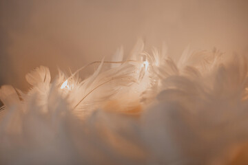 Pastel peach color feathers background and texture. Peach fuzz color of the year. Christmas and New...