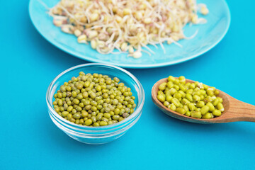 A plate with sprouted mung beans, dry mung beans in a glass bowl