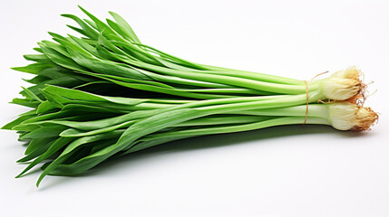 fresh green onions HD 8K wallpaper Stock Photographic Image 