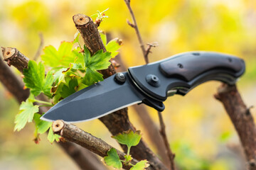 military tactical knife on tree in the forest