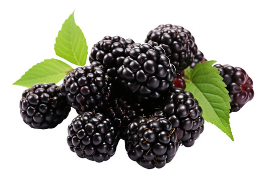 Black berries in a pile isolated on a white background