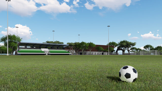 soccer field 3d rendering illustration
