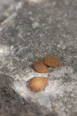 Almonds from the tree in their natural shell and shelled