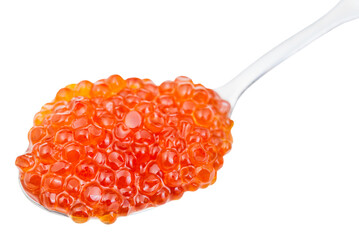 spoon with salty Red caviar of Sockeye salmon fish