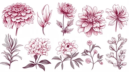 Badezimmer Foto Rückwand Set of botanical flowers chrysanthemum and peonies Vector hand draw vector graphic for your design. © Nazia